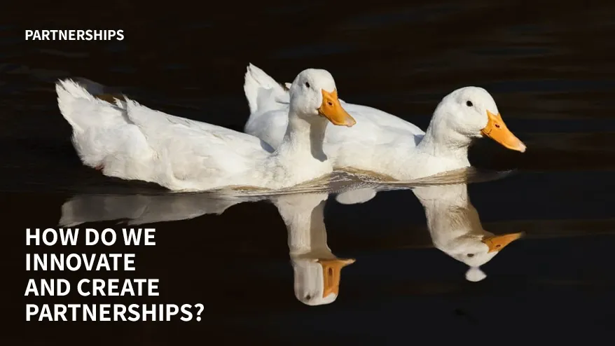 Esg 2024 Partnerships 878X494