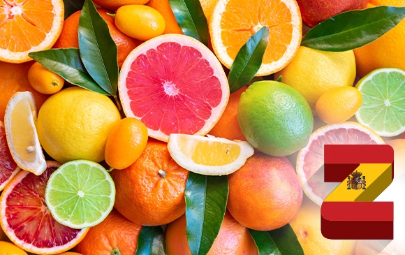 Spain Unlocks New Opportunities This Reefer Season