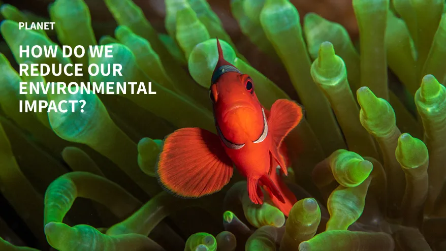 Esg 2024 Planet 878X494